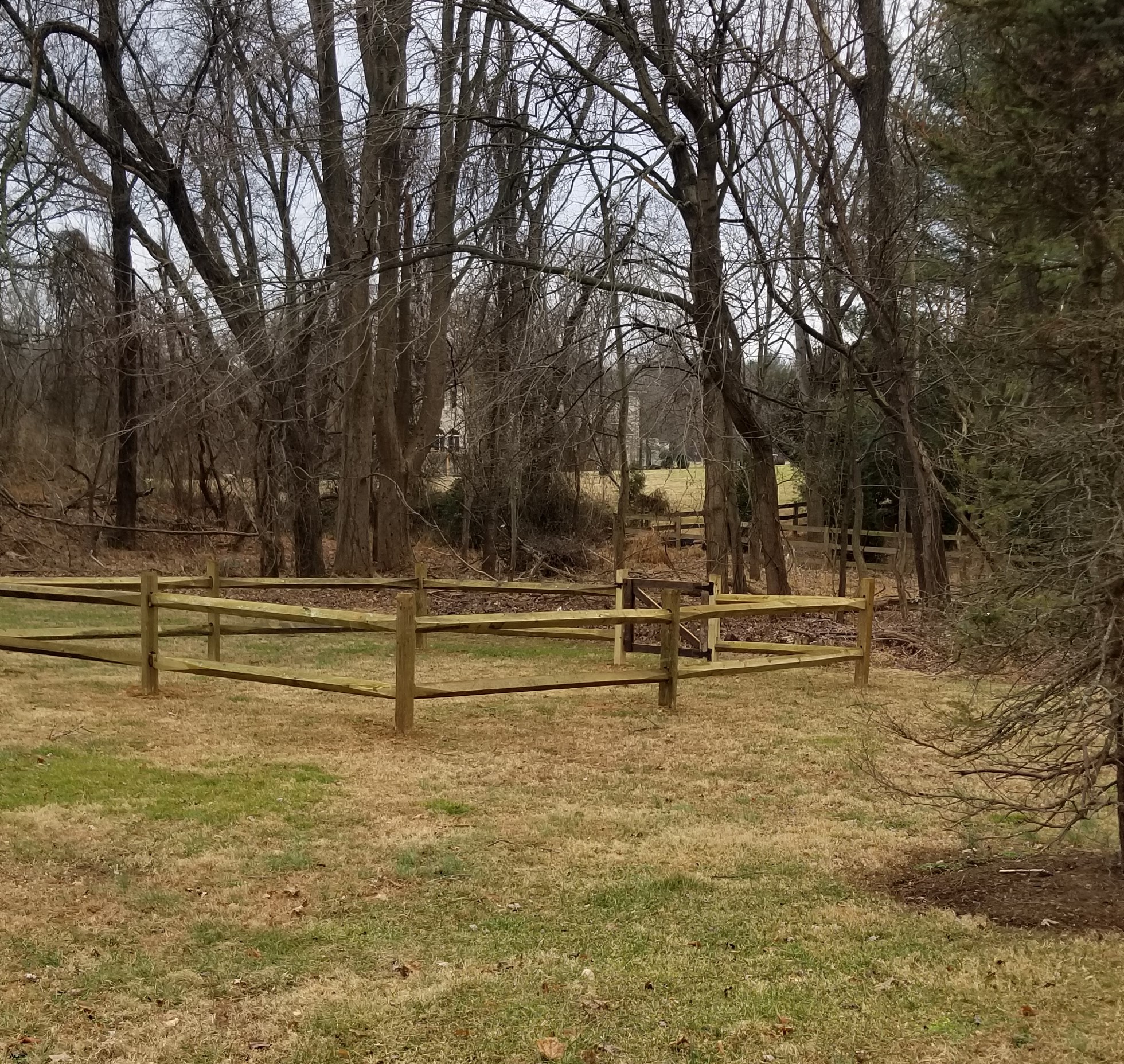 The Apiary Fence is in – Christ the King Bees